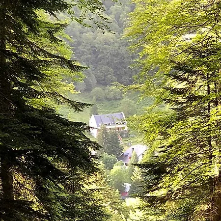 Le Refuge De L'isard Bed & Breakfast 3*