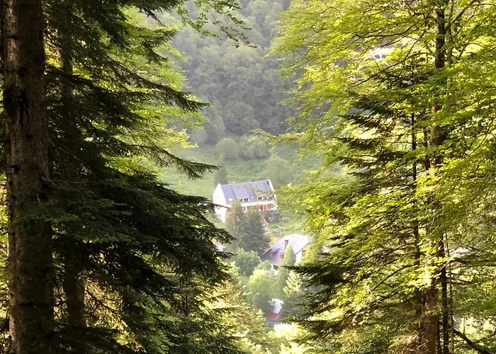 ô Chiroulet - Le Refuge De L'isard